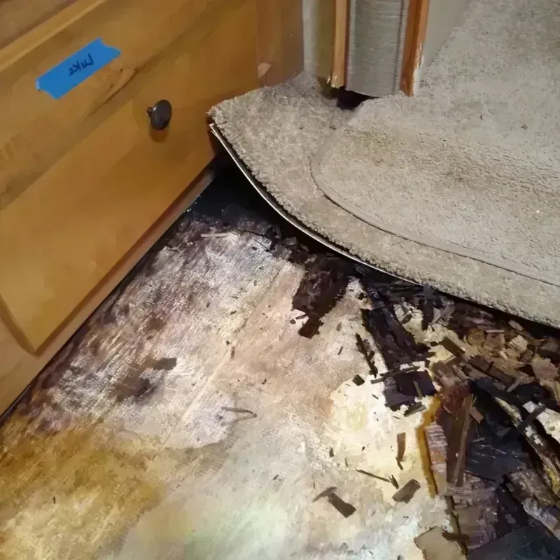 Wood Floor Water Damage in Miramar, FL